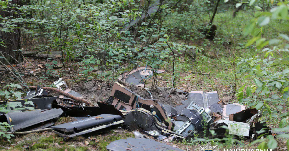 Небезпека з неба: у Києві знайдено два ворожі БпЛА в лісосмузі