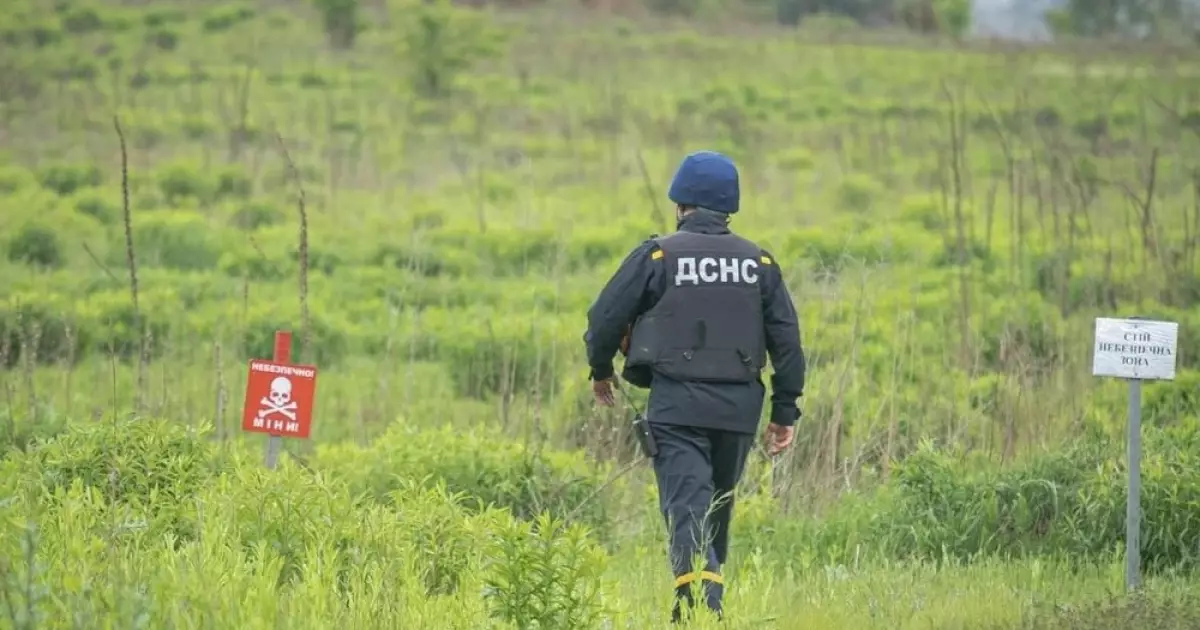 Ірпінь: завершено друге розмінування за ініціативою «Безпечний гектар»