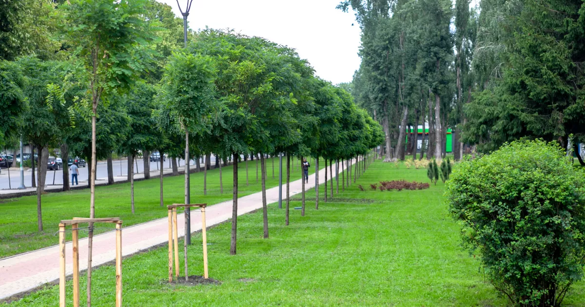 Заступника голови КМДА судитимуть за незаконну передачу землі парку «Нивки»