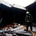 Росіяни вдарили по птахофабриці на Київщині: рятувальники врятували 15 тисяч птахів