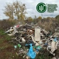 Сміття шаром до метра: на Білоцерківщині виявили звалище