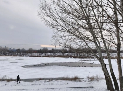 Бережіть життя: у Києві через відлигу лід на Дніпрі став вкрай небезпечним
