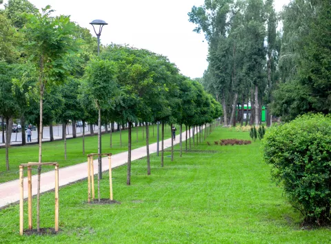 Заступника голови КМДА судитимуть за незаконну передачу землі парку «Нивки»